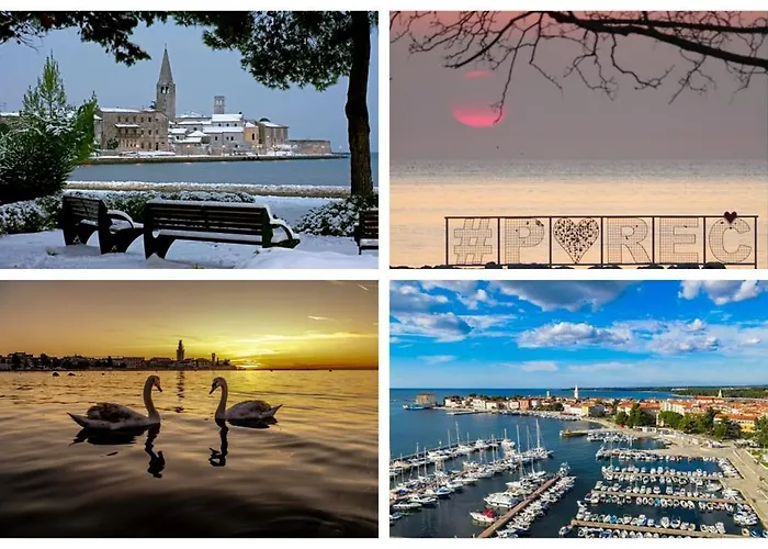 Cocktail And Coffe * Kovacic