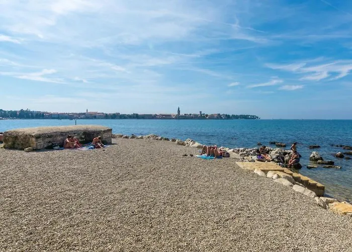 Cocktail And Coffe Kovacic